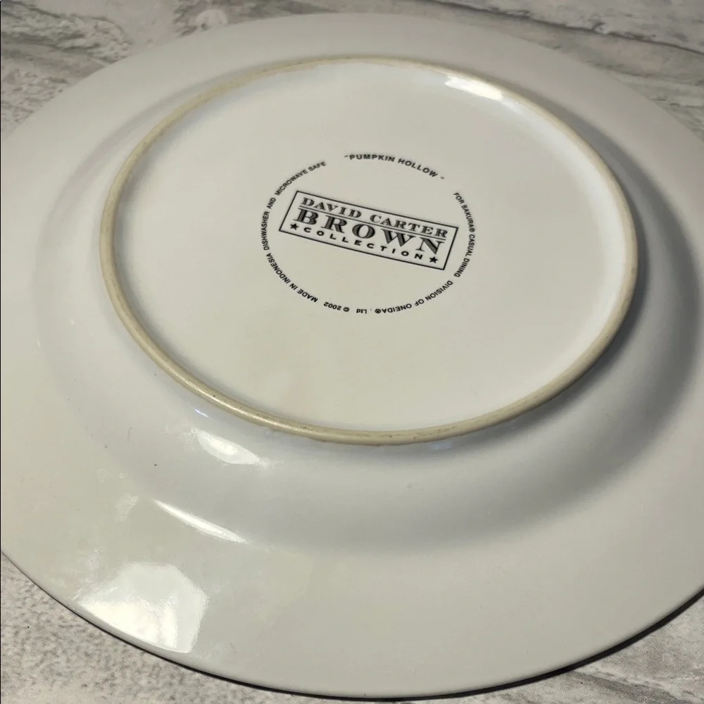 David Carter Brown pumpkin Hollow set of 2 Pumpkin Plates Halloween black cat